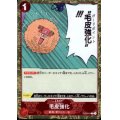 毛皮強化(C/海賊旗Foil)(ST01-014)【PRB-01】