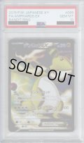 【PSA10】デンリュウEX 085/081【2号店併売中/店頭で状態確認可能！】