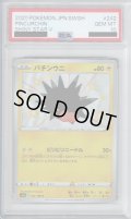 【PSA10】バチンウニ 242/190 S【2号店併売中/店頭で状態確認可能！】