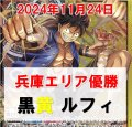 【11/24兵庫エリア予選優勝】黒黄 ルフィ デッキ販売