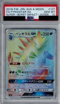 【PSA10】バンギラスGX(107/095 HR)【2号店併売中/店頭で状態確認可能！】