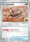 古びたこうらの化石(155/165)(ミラー/マスターボール)