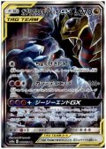 ガブリアス＆ギラティナGX(060/054 SR)