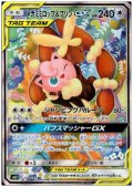 メガミミロップ&プリンGX(104/095 SR)