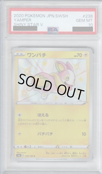 画像1: 【PSA10】ワンパチ 238/190 S 【2号店併売中/店頭で状態確認可能！】 (1)