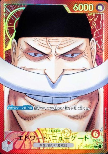 画像1: [OP]リーダーと共に"ひとつなぎの大秘宝"を探せ!!【全50口】 (1)